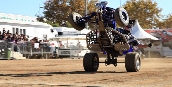 Willy Of A Brave Rider alt