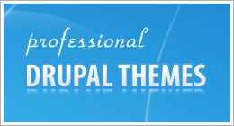 Pro Drupal Themes