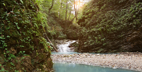 Waterfall in the Forest 6 alt