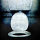 Toilet Flush