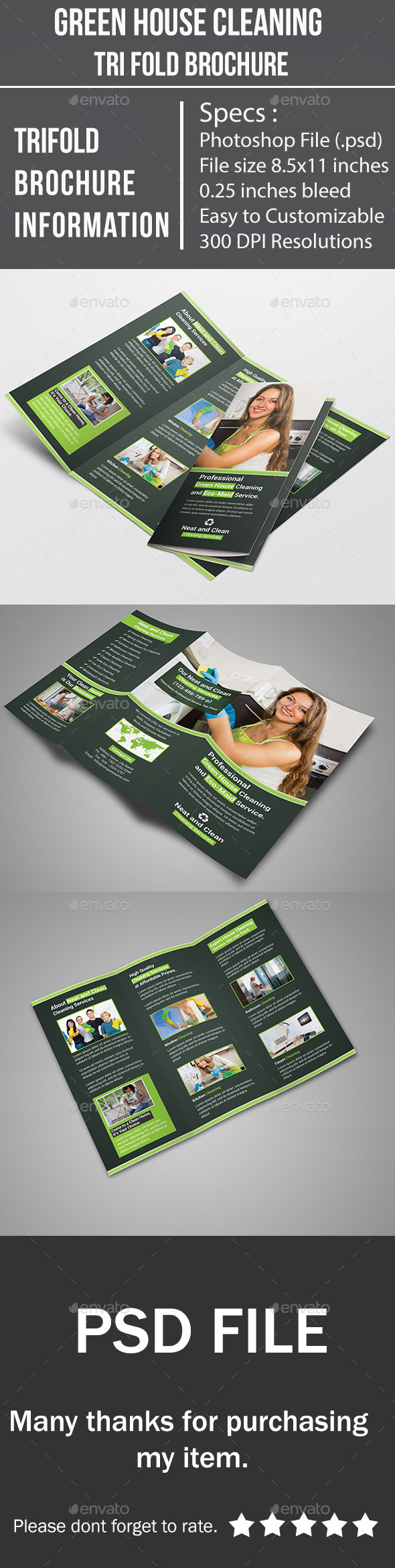 Green House Cleaning Tri Fold Brochure - Corporate Brochures