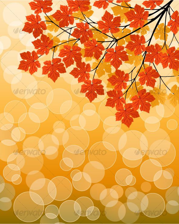 Autumn background - Seasons Nature