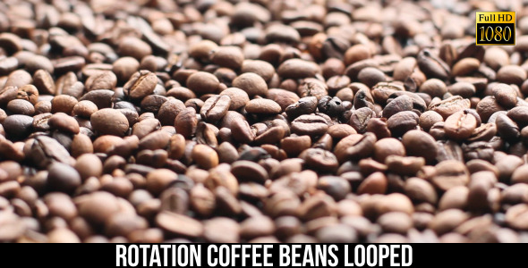 The Coffee Beans 13 alt