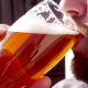 Drinking Beer - VideoHive Item for Sale