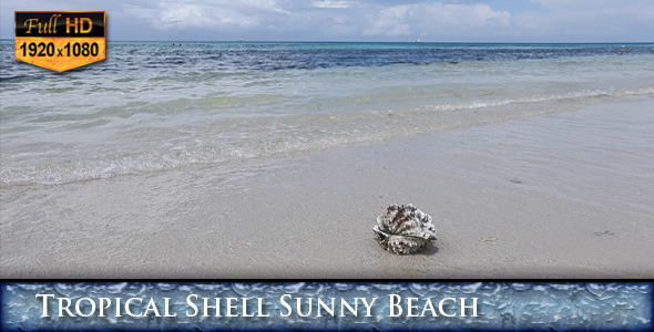 Tropical Shell Sunny Beach