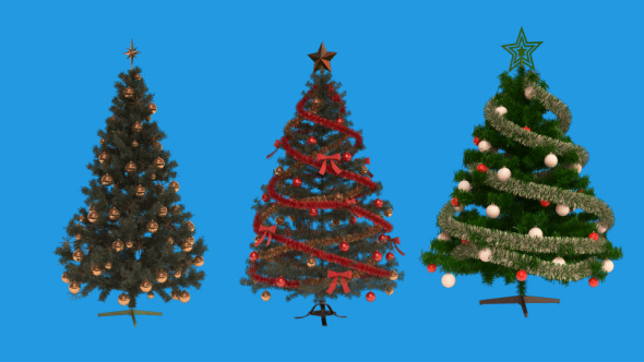 Christmas Trees - Rotating