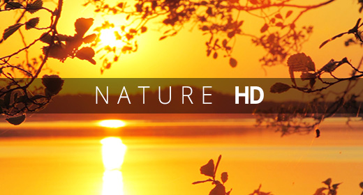 Nature video footage