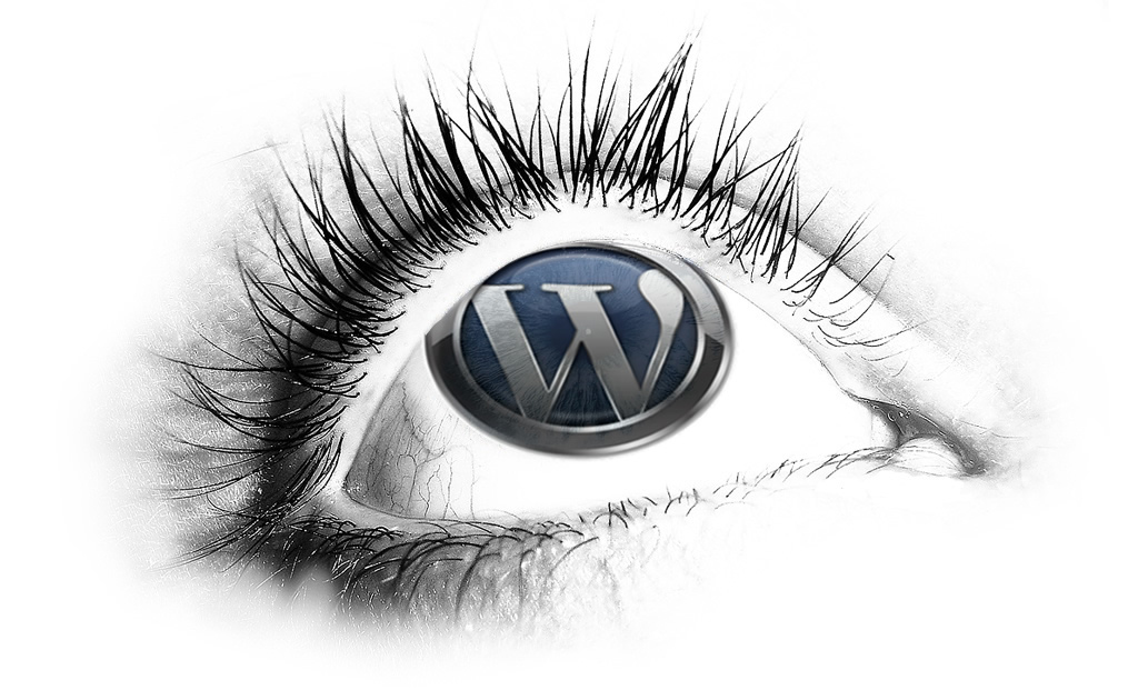 Amazing Wordpress Themes