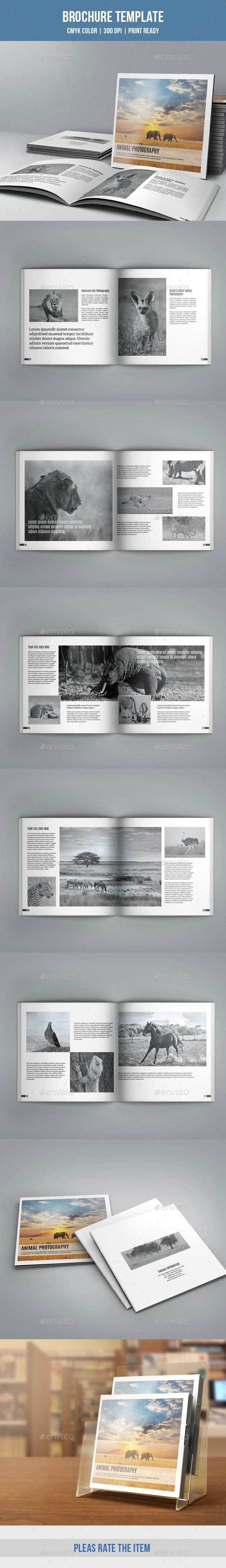 Photographer Portfolio Brochure-V169 - Corporate Brochures