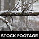 Winter Pack 1 - VideoHive Item for Sale