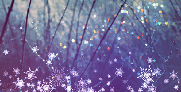 Snowflakes Overlays and Backgrounds