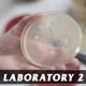 Laboratory 2 Laboratory 2 - VideoHive Item for Sale