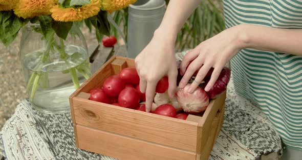 Female Sorting Vegetables in Box While Standing Indoors of Street Market