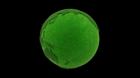 Earth Grass Loop alt