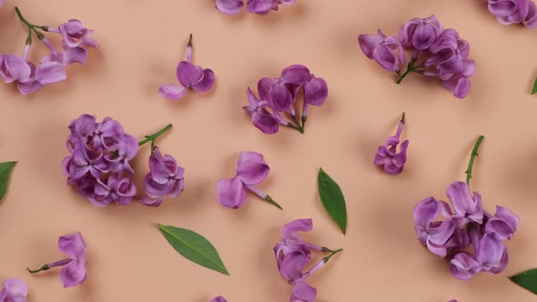 Background of Purple Lilac Flowers on a Peach or Beige Background alt