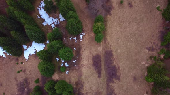 Aerial View of Trees and Meadows in Spring Colorful Carpathian Countryside with Remnants of Snow alt