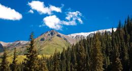 The mountains and landscape
