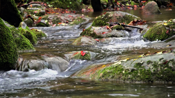 Creek Cascade with Fallen Red Leaves in Fall alt