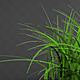 Isolated Grass Growing - VideoHive Item for Sale