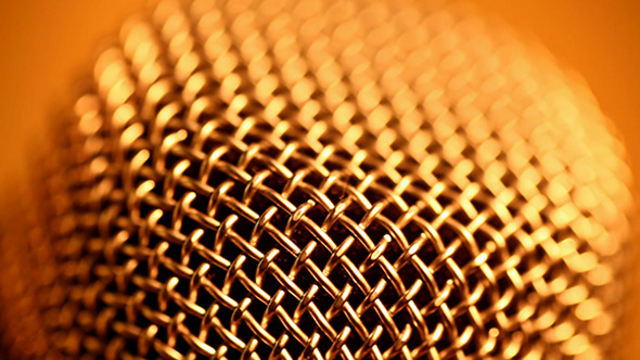 Microphone Close Up 265