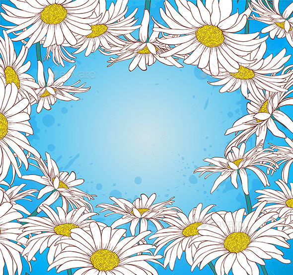 Chamomile on a Blue Background - Flowers & Plants Nature