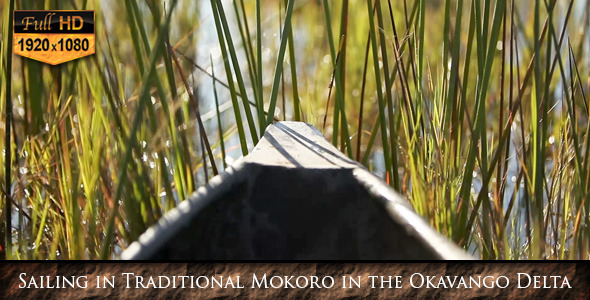 Sailing Traditional Mokoro in the Okavango Delta