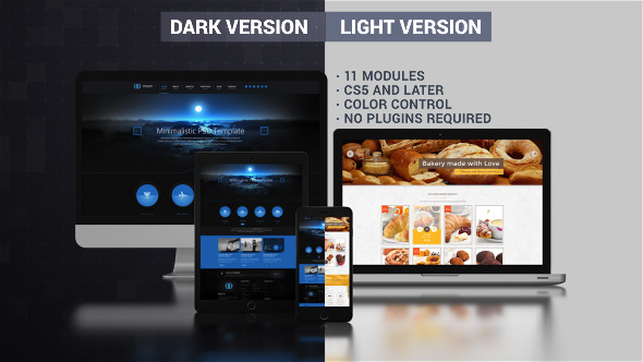 Website Presentation (Dark & Light)