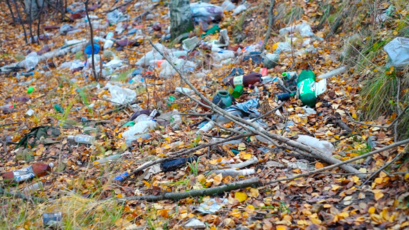 Bottles, Plastic Bags And Other Garbage In Forest