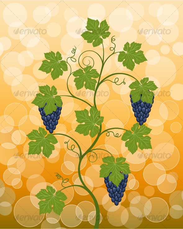 Floral background with a vine
