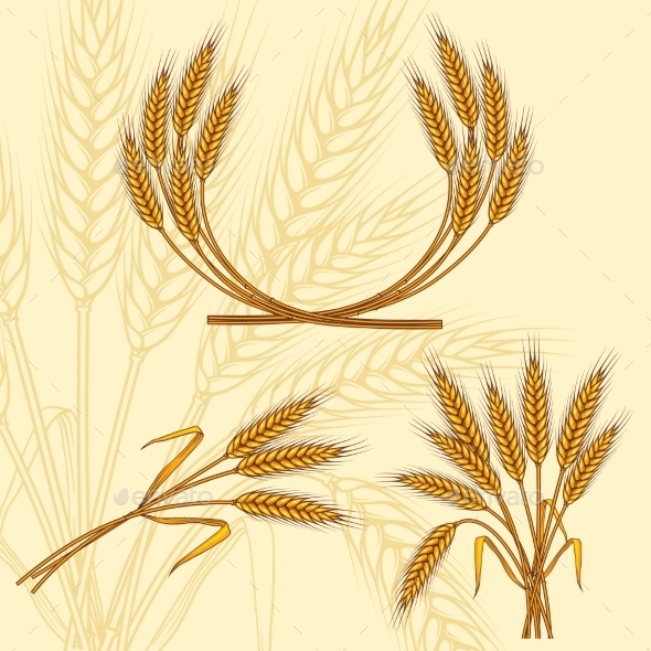 Background with Ripe Yellow Wheat Ears - Flowers & Plants Nature