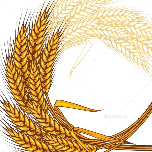 Background with Ripe Yellow Wheat Ears - Flowers & Plants Nature