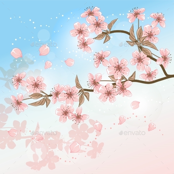 Cherry Tree - Flowers & Plants Nature