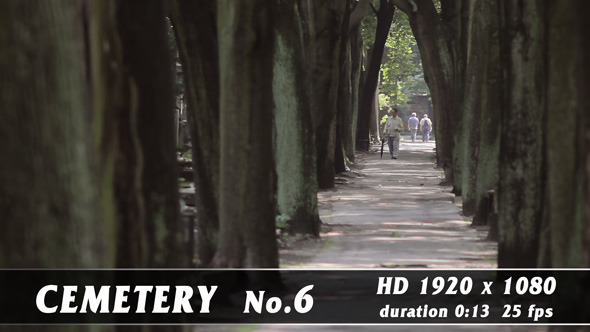 Cemetery 6 alt