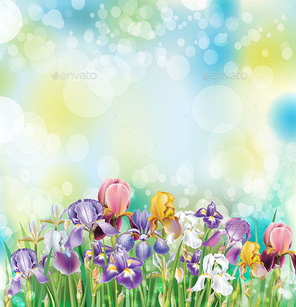 Background with Iris Flowers - Flowers & Plants Nature
