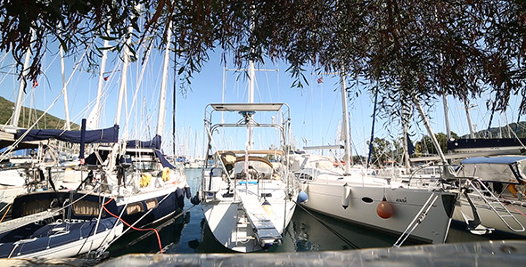 Yacht Marina