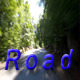 Road With Trees Road With Trees - VideoHive Item for Sale