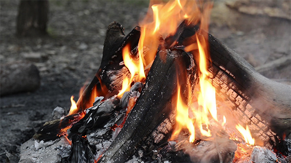 Campfire alt