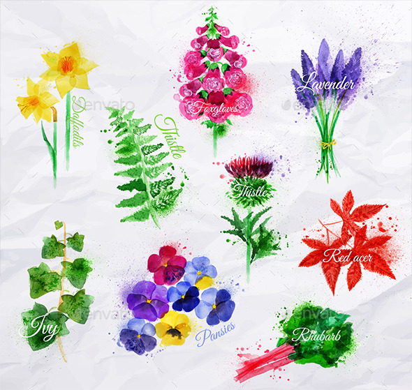 Watercolor Plants and Flowers - Flowers & Plants Nature