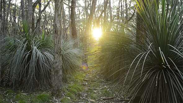 Path Getting Brighter alt