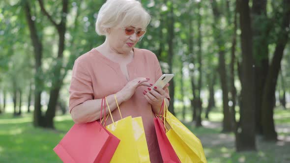 Elegant Senior Woman with Shopping Bags Messaging Online Using Smartphone. Portrait of Confident alt