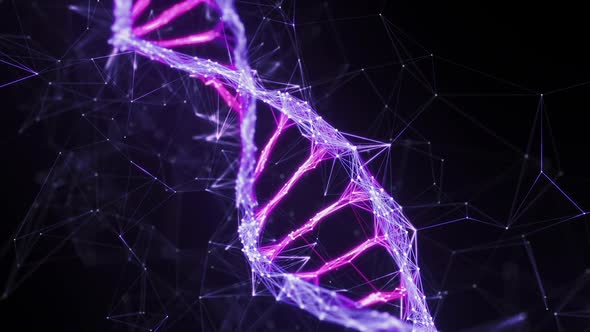 Motion Background Digital Plexus DNA molecule strand HD Loop pink purple violet