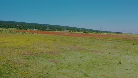 Drone Footage of a Flowering Poppy Field Against the Background of Mountains