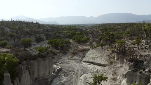Shrubbery in Arid, Desolate Mexico Desert of Zapotitlan - Aerial alt