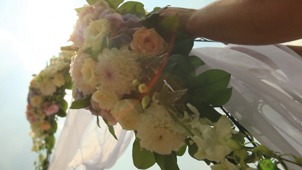 Wedding Flowers Preparations (Pack of 3)
