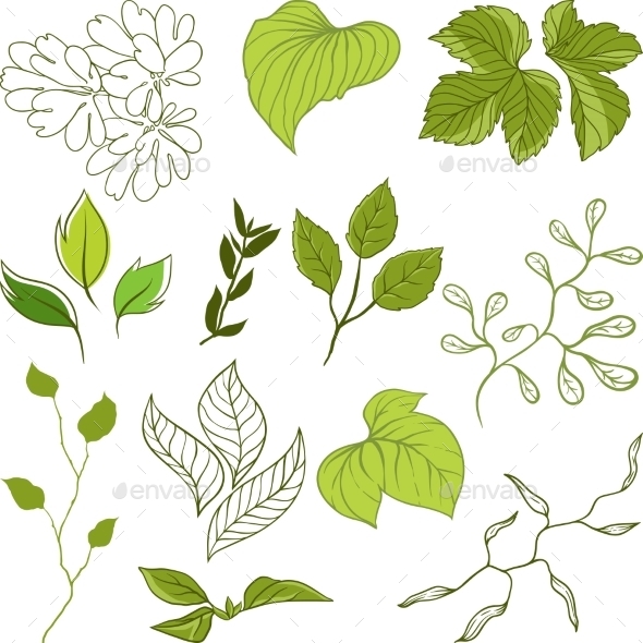 Leaves Set - Flowers & Plants Nature
