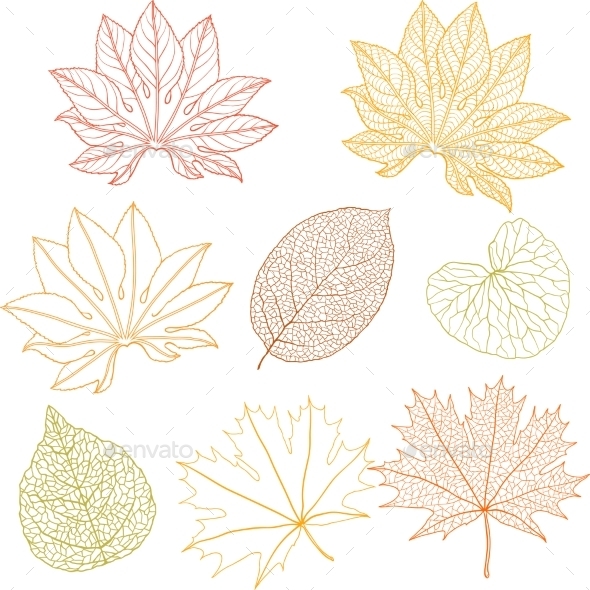 Leaves Set - Flowers & Plants Nature