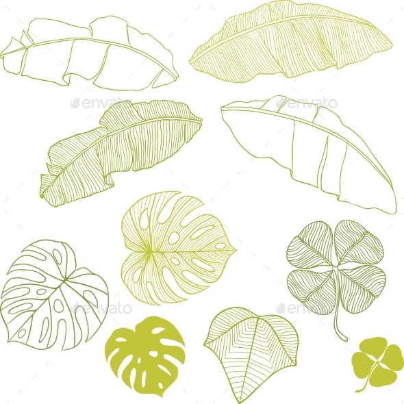 Leaves Set - Flowers & Plants Nature