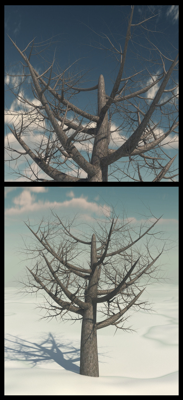Dead Elm Tree - 3Docean 9791432