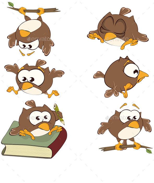 Set of Owls - Animals Characters