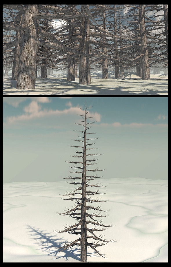 Dead Pine Tree - 3Docean 9795374